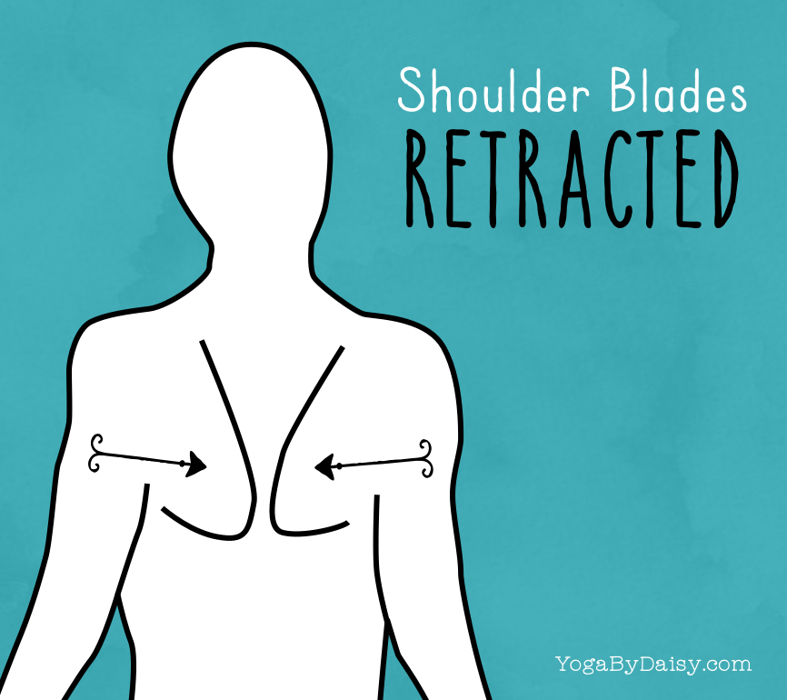 Shoulder Blades Retracted